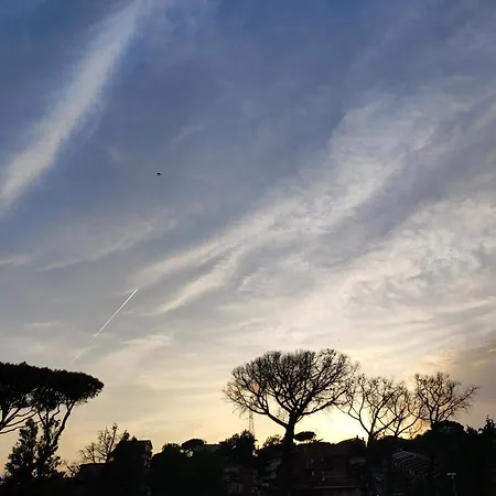 Belvedere Rome